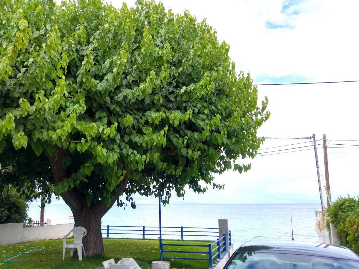 Papadogiannopoulos House Aigio Exteriör bild